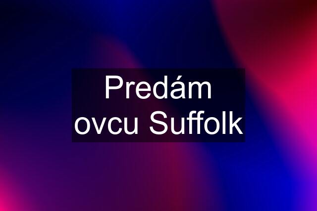 Predám ovcu Suffolk