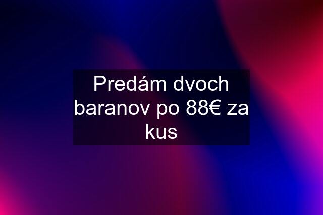 Predám dvoch baranov po 88€ za kus