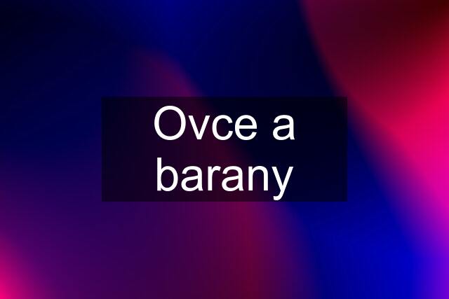 Ovce a barany