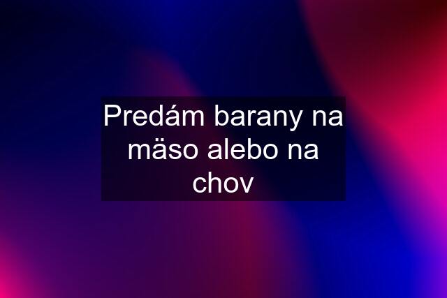 Predám barany na mäso alebo na chov