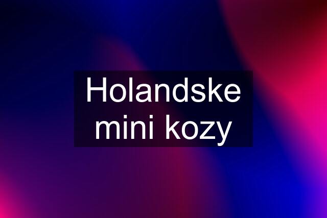 Holandske mini kozy