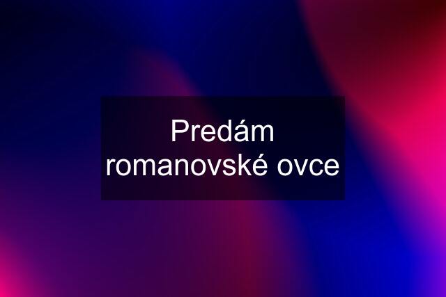 Predám romanovské ovce