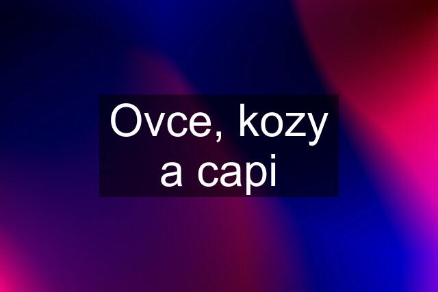 Ovce, kozy a capi