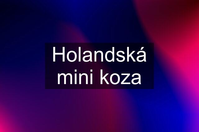 Holandská mini koza