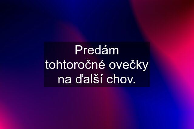 Predám tohtoročné ovečky na ďalší chov.