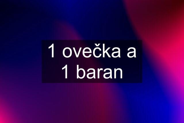 1 ovečka a 1 baran