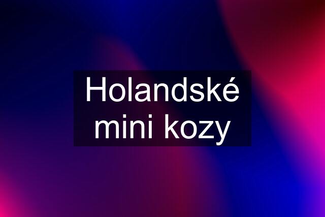 Holandské mini kozy