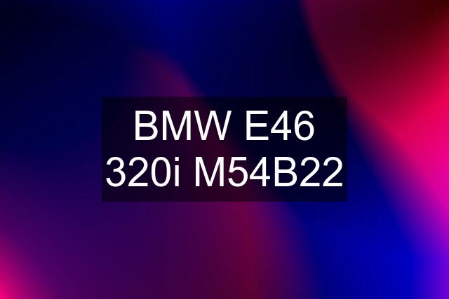 BMW E46 320i M54B22