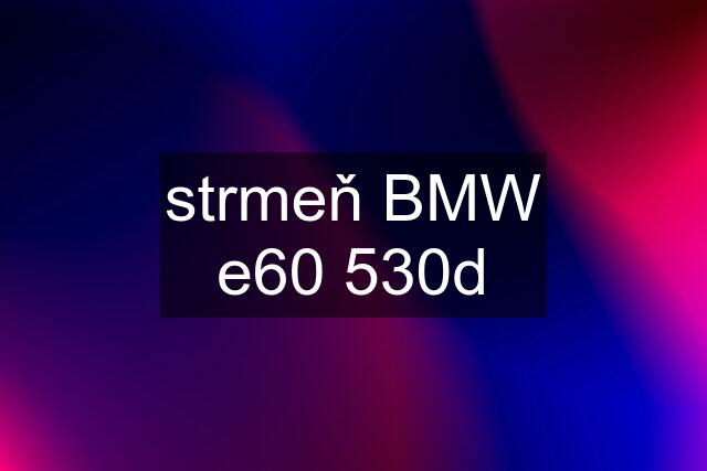 strmeň BMW e60 530d