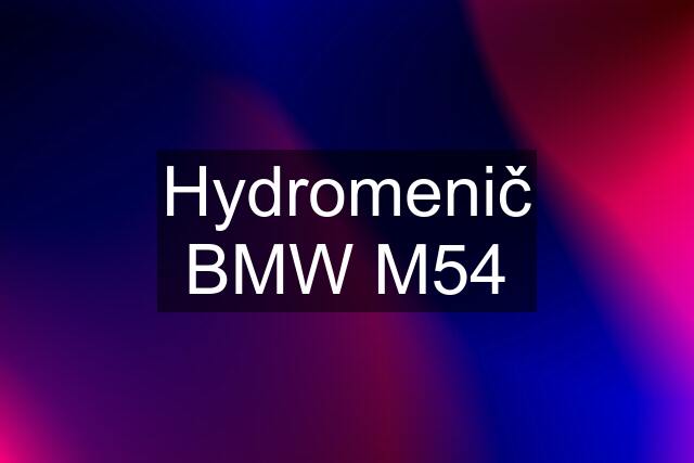 Hydromenič BMW M54