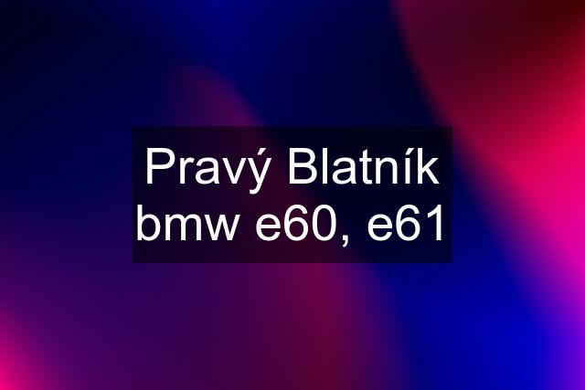 Pravý Blatník bmw e60, e61