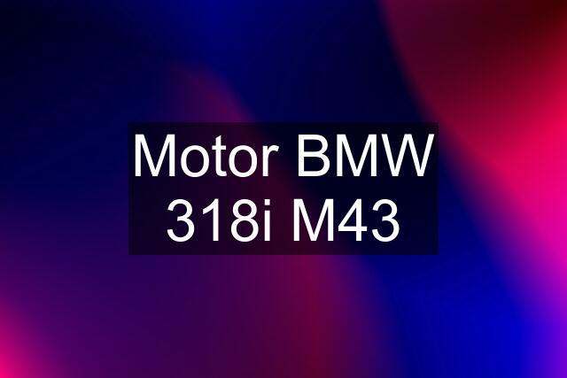 Motor BMW 318i M43