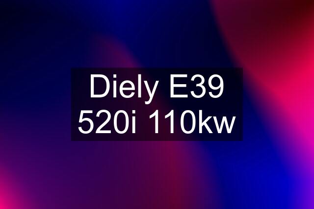 Diely E39 520i 110kw