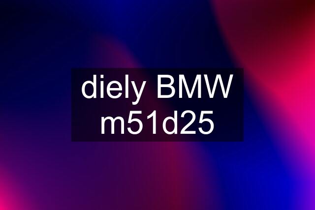 diely BMW m51d25