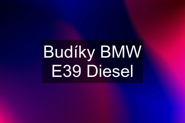 Budíky BMW E39 Diesel