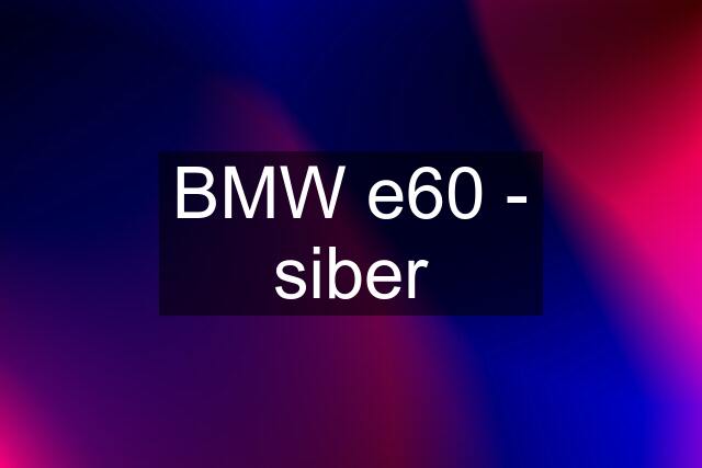 BMW e60 - siber