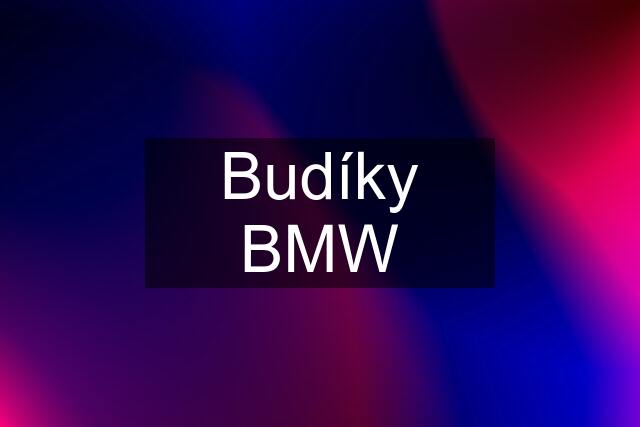 Budíky BMW