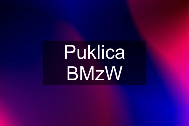 Puklica BMzW