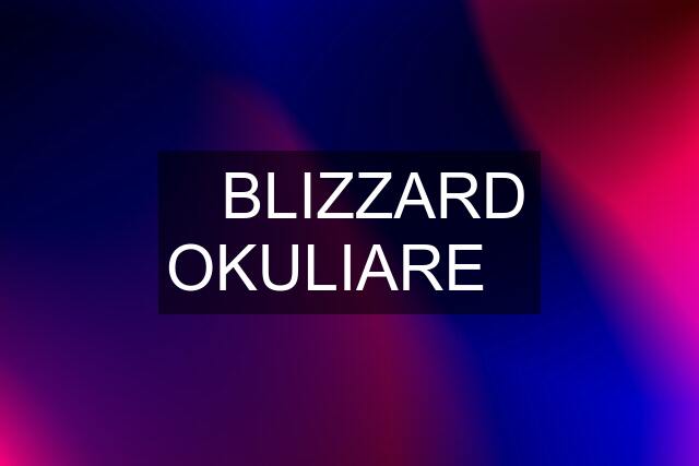 ❗️BLIZZARD OKULIARE❗️