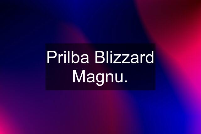 Prilba Blizzard Magnu.