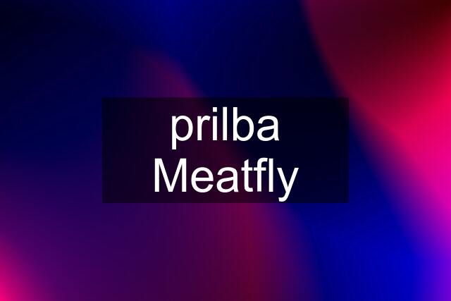 prilba Meatfly