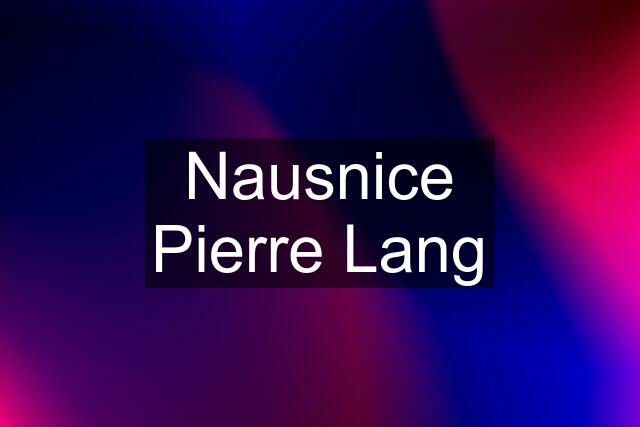 Nausnice Pierre Lang