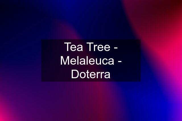 Tea Tree - Melaleuca - Doterra