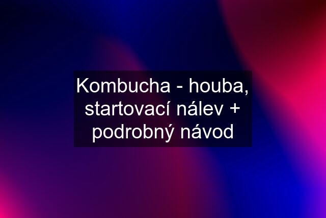 Kombucha - houba, startovací nálev + podrobný návod