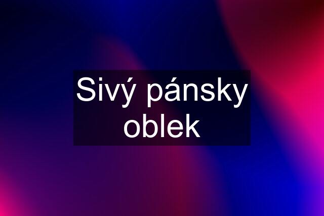 Sivý pánsky oblek