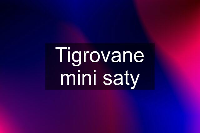 Tigrovane mini saty