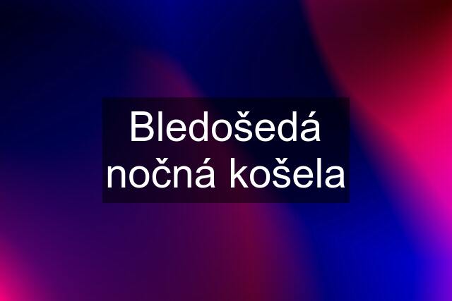 Bledošedá nočná košela