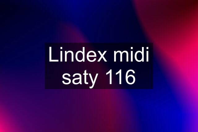 Lindex midi saty 116