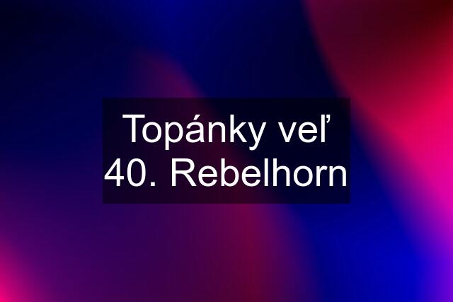 Topánky veľ 40. Rebelhorn