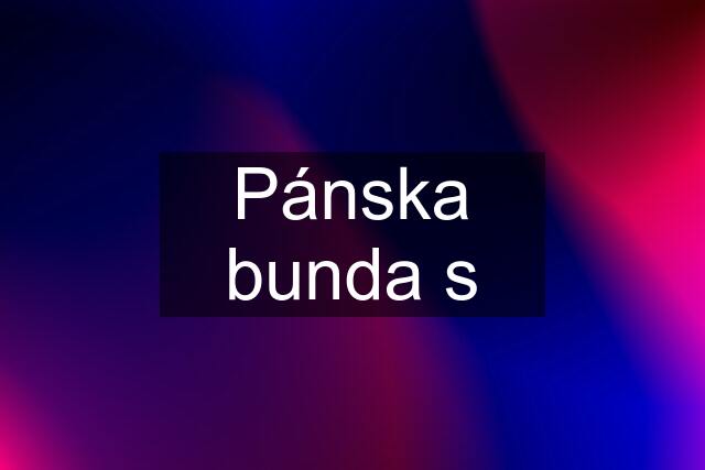 Pánska bunda s