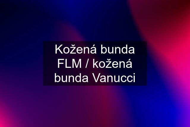 Kožená bunda FLM / kožená bunda Vanucci