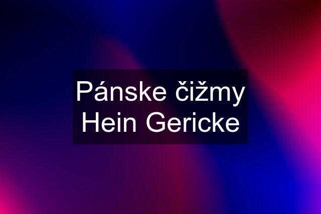 Pánske čižmy Hein Gericke