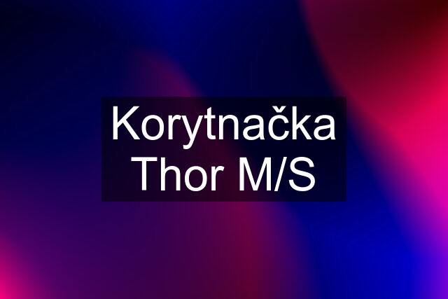 Korytnačka Thor M/S