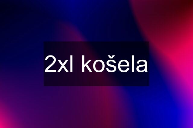 2xl košela