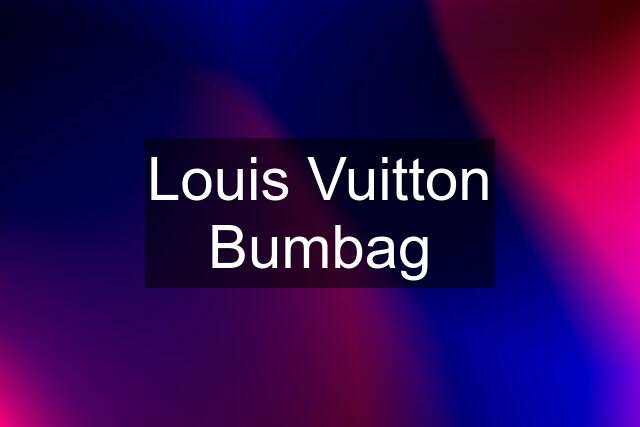 Louis Vuitton Bumbag