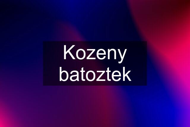 Kozeny batoztek