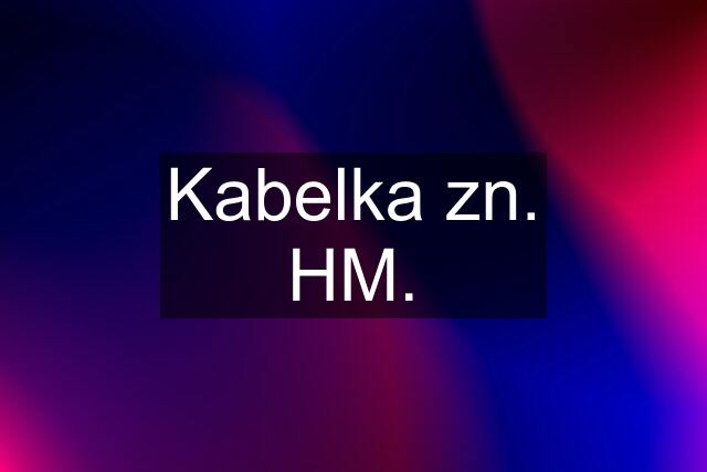 Kabelka zn. HM.