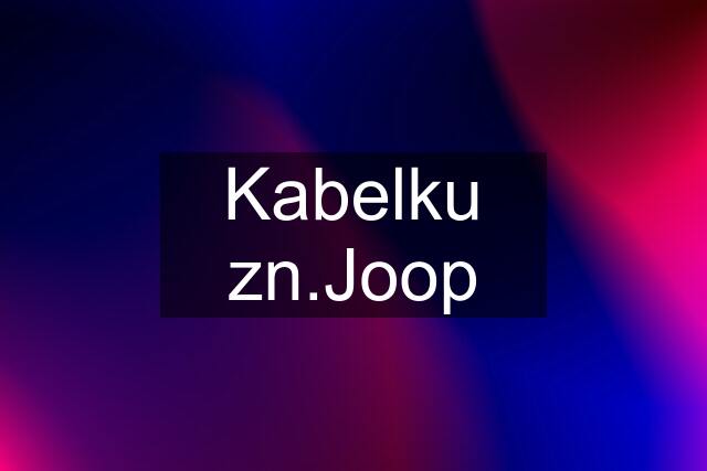 Kabelku zn.Joop