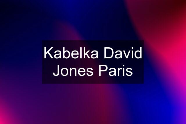 Kabelka David Jones Paris