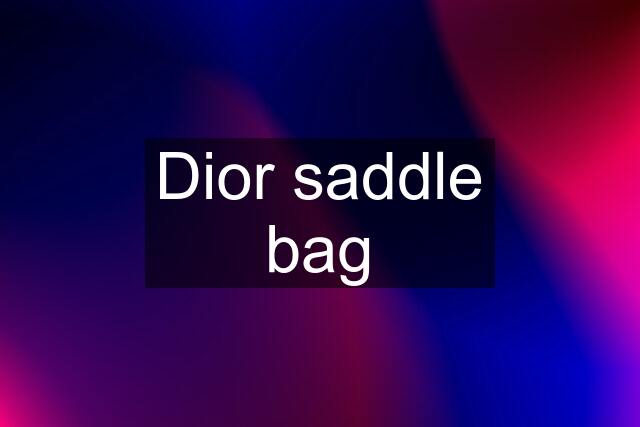 Dior saddle bag