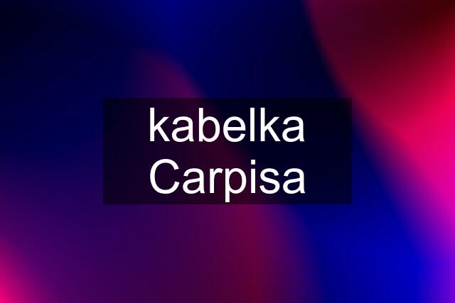 kabelka Carpisa