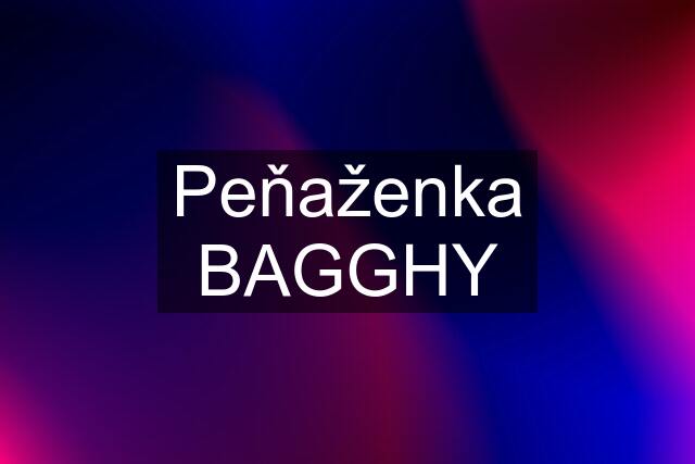 Peňaženka BAGGHY