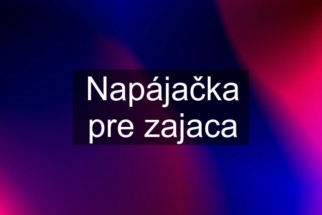 Napájačka pre zajaca