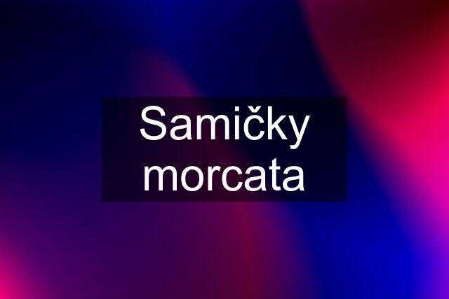 Samičky morcata