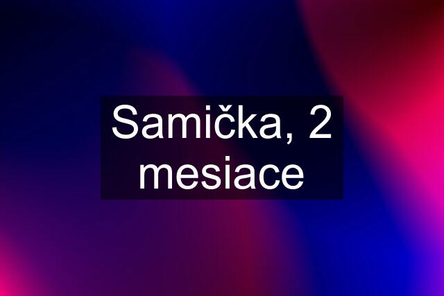 Samička, 2 mesiace