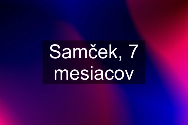 Samček, 7 mesiacov